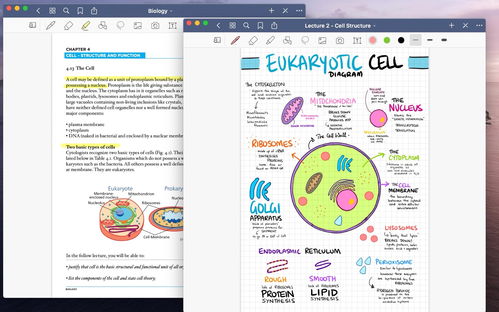 筆記就是生產力 打造高效創意工作流的Mac筆記軟件指南